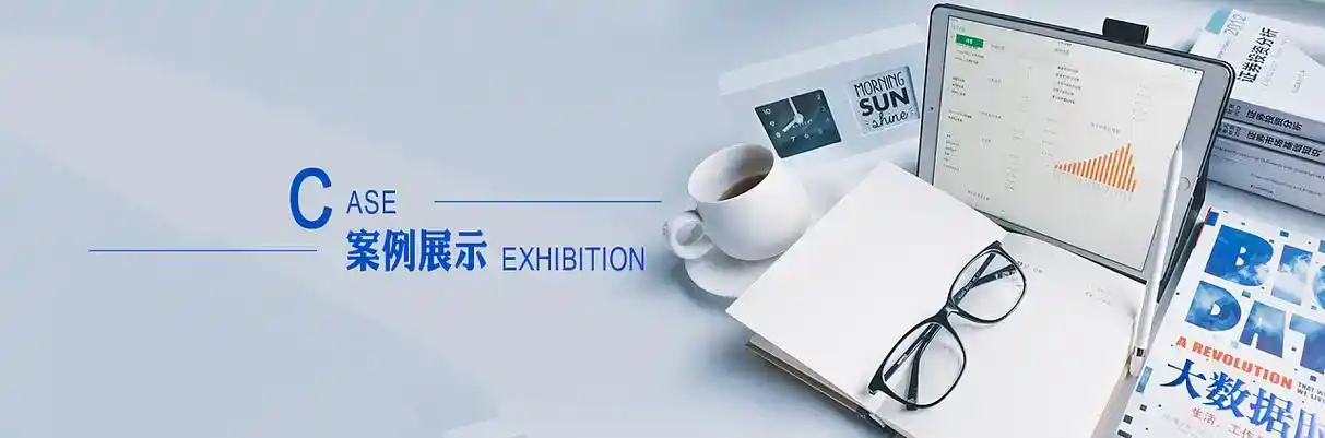 冀州市软件开发